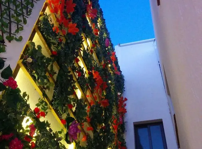 Lucero 12 Marbella