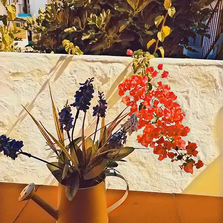 Lucero 12 Guest house