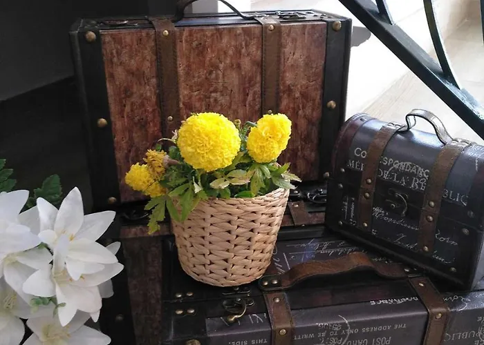 Lucero 12 4* Marbella